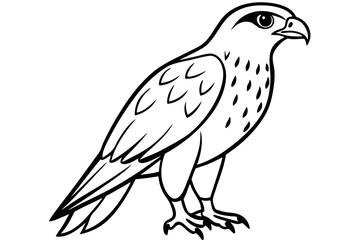 hawk silhouette line art vector illustration with a white background