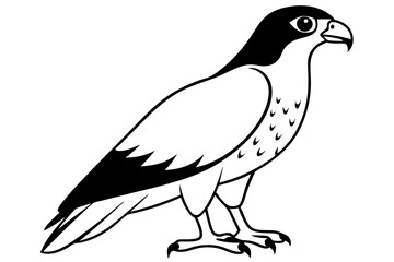 hawk silhouette line art vector illustration with a white background