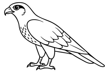 Fototapeta premium hawk silhouette line art vector illustration with a white background
