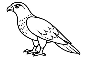 hawk silhouette line art vector illustration with a white background