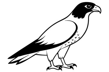 hawk silhouette line art vector illustration with a white background