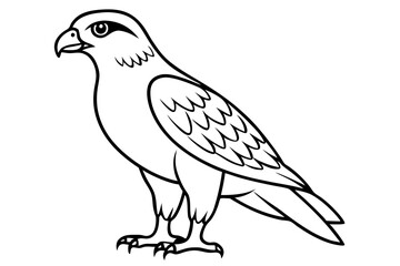 hawk silhouette line art vector illustration with a white background
