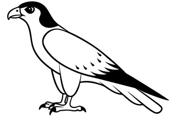 Obraz premium hawk silhouette line art vector illustration with a white background