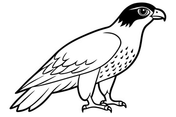 Fototapeta premium hawk silhouette line art vector illustration with a white background
