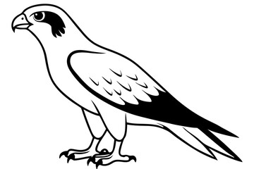 hawk silhouette line art vector illustration with a white background