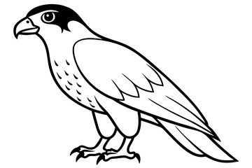 hawk silhouette line art vector illustration with a white background