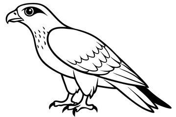 hawk silhouette line art vector illustration with a white background