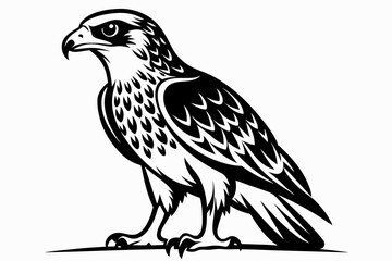 hawk silhouette line art vector illustration with a white background