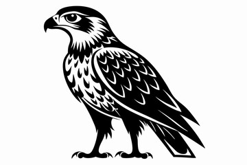 hawk silhouette line art vector illustration with a white background