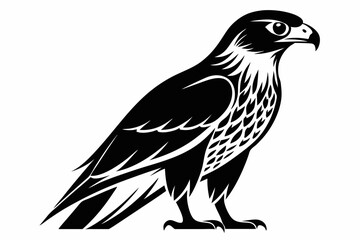 hawk silhouette line art vector illustration with a white background