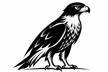 hawk silhouette line art vector illustration with a white background