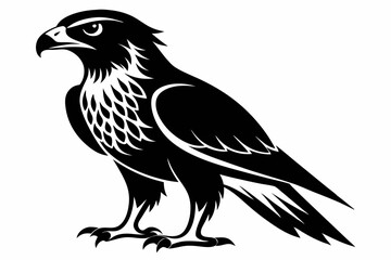 hawk silhouette line art vector illustration with a white background