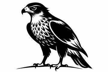 hawk silhouette line art vector illustration with a white background