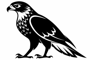 hawk silhouette line art vector illustration with a white background