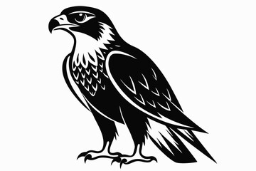 hawk silhouette line art vector illustration with a white background