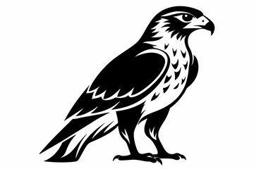 hawk silhouette line art vector illustration with a white background
