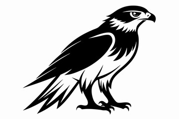 hawk silhouette line art vector illustration with a white background