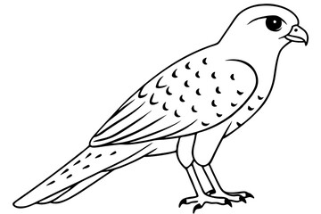 Fototapeta premium kestrel silhouette line art vector illustration with a white background
