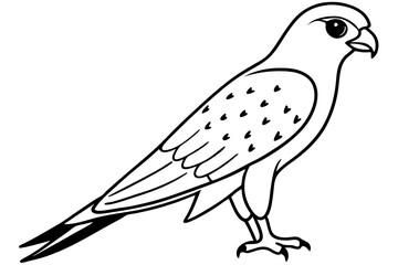 Fototapeta premium kestrel silhouette line art vector illustration with a white background