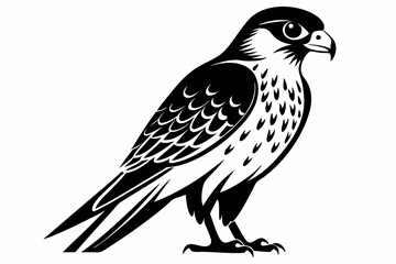 Fototapeta premium kestrel silhouette line art vector illustration with a white background