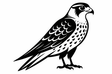 kestrel silhouette line art vector illustration with a white background