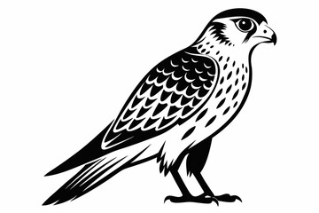 kestrel silhouette line art vector illustration with a white background