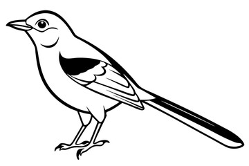 mockingbird silhouette line art vector illustration with a white background
