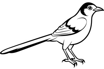mockingbird silhouette line art vector illustration with a white background

