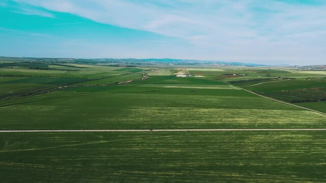 Lush green fields and farmlands stretch across the Tunisian landscape under a vibrant blue sky.
