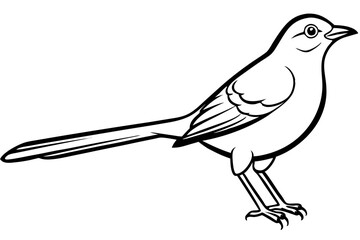 mockingbird silhouette line art vector illustration with a white background
