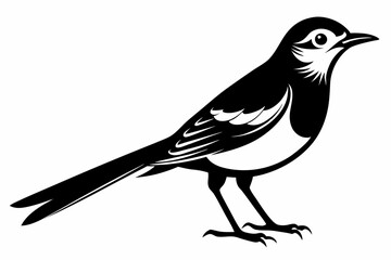 mockingbird silhouette line art vector illustration with a white background
