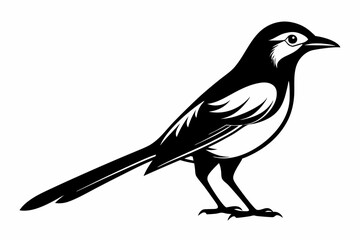mockingbird silhouette line art vector illustration with a white background
