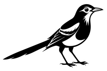 mockingbird silhouette line art vector illustration with a white background
