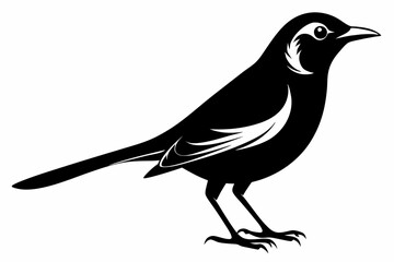 mockingbird silhouette line art vector illustration with a white background