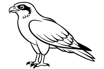 osprey silhouette line art vector illustration with a white background
