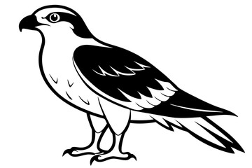 Fototapeta premium osprey silhouette line art vector illustration with a white background