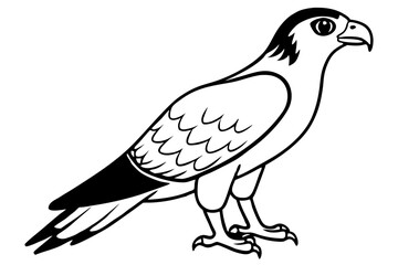 osprey silhouette line art vector illustration with a white background