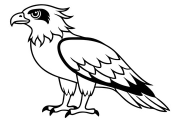 osprey silhouette line art vector illustration with a white background