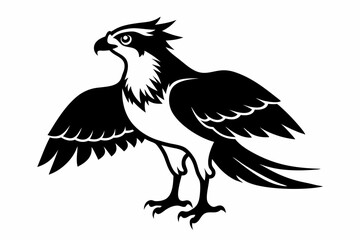 osprey silhouette line art vector illustration with a white background