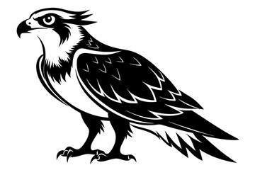 osprey silhouette line art vector illustration with a white background