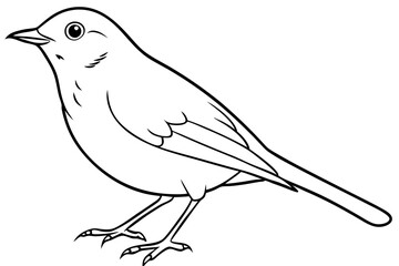 robin silhouette line art vector illustration with a white background
