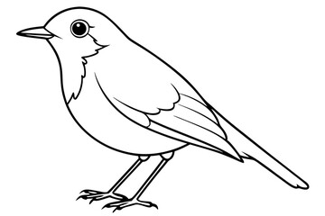 robin silhouette line art vector illustration with a white background