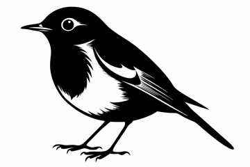 robin silhouette line art vector illustration with a white background
