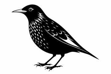 starling silhouette line art vector illustration with a white background