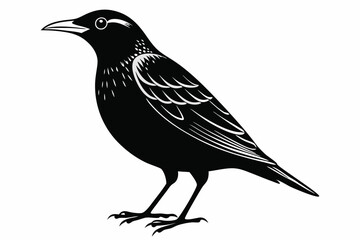 starling silhouette line art vector illustration with a white background