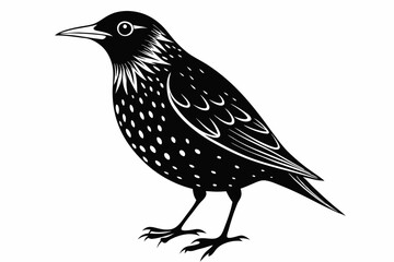 starling silhouette line art vector illustration with a white background