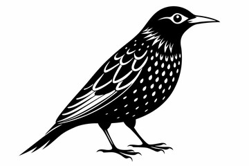 starling silhouette line art vector illustration with a white background