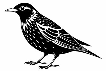 starling silhouette line art vector illustration with a white background