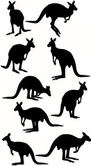 Group of Kangaroo Silhouettes on White Background