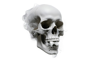 Obraz premium White Smoke Skull Shape Creepy Realistic Digital Art